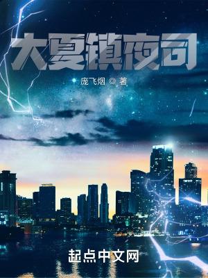 大夏镇夜司女主有几个封面