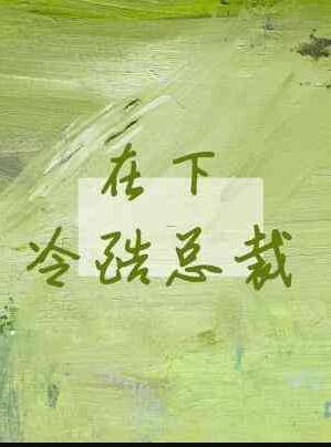 在下冷酷总裁木三观封面
