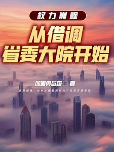 权力巅峰从借调省委大院开始杨东封面
