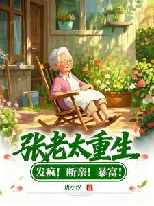 张老太的婚事封面