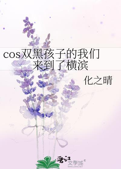 双黑的孩子回到过去封面
